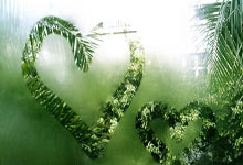 开云体育下载-包含职业篮球比赛的最新战报出炉，球员表现备受关注的词条