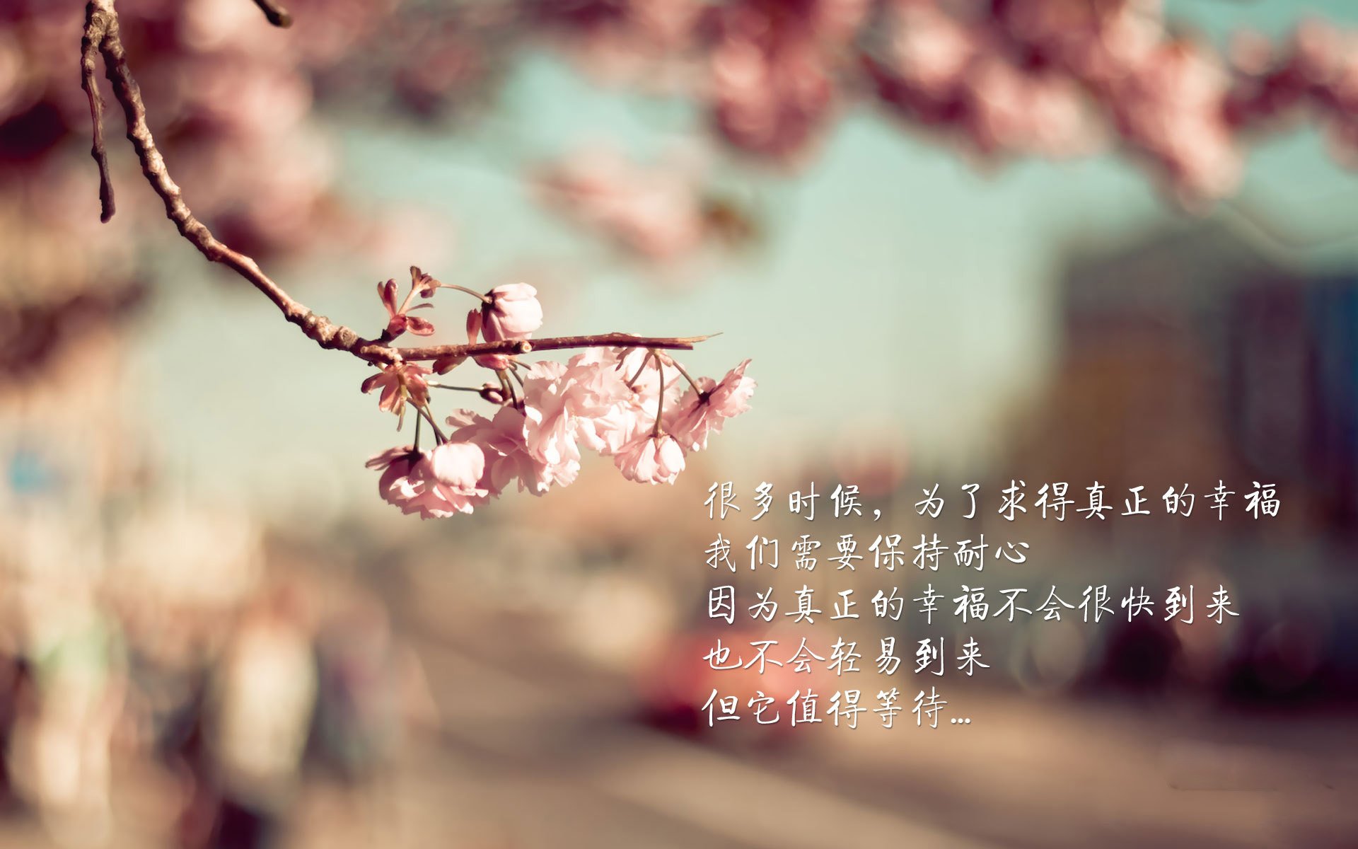 西决生死战焦点战，瑞典提前终结悬念，埃及遗憾止步