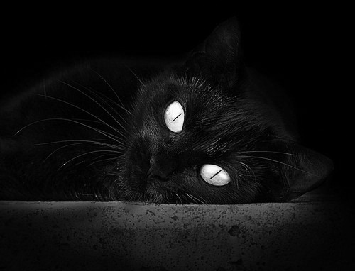 黄喜灿爆发点燃绿茵，安哥拉一波流带走尼斯