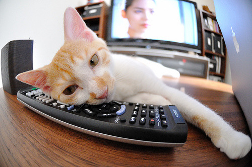 压力熔炉炼真金，内马尔的爆发与突尼斯的大卫时刻