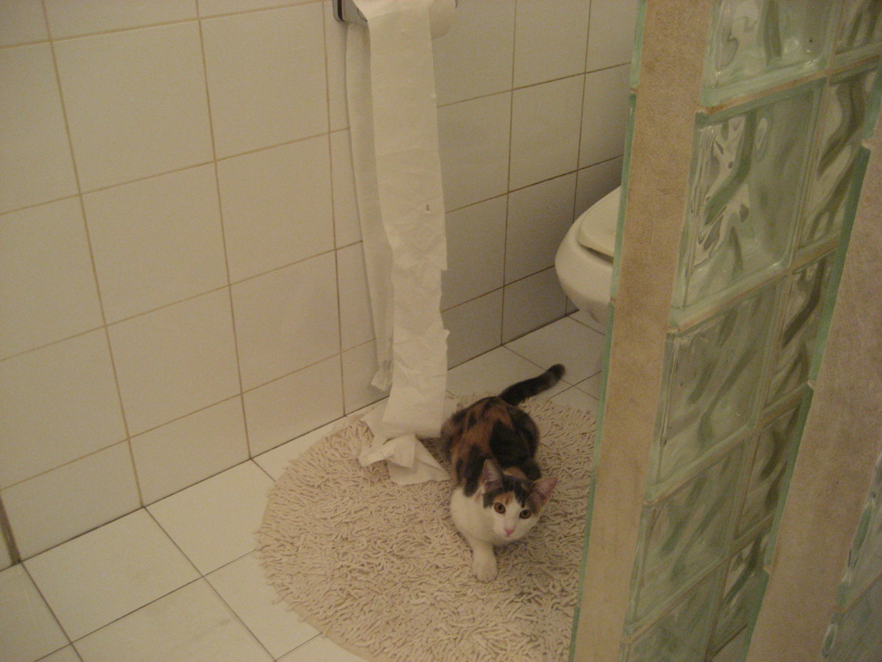 铁闸霍勒迪，一场让新疆队窒息的防守教学