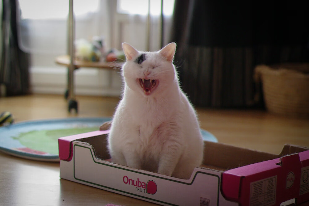 体系与英雄，从马刺打穿雄鹿到浓眉接管抢七，看篮球哲学的永恒辩题