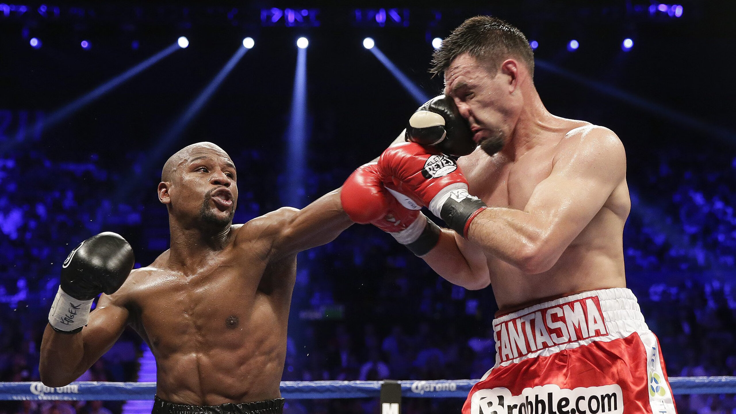 格列兹曼的子弹，荷兰队的黎明