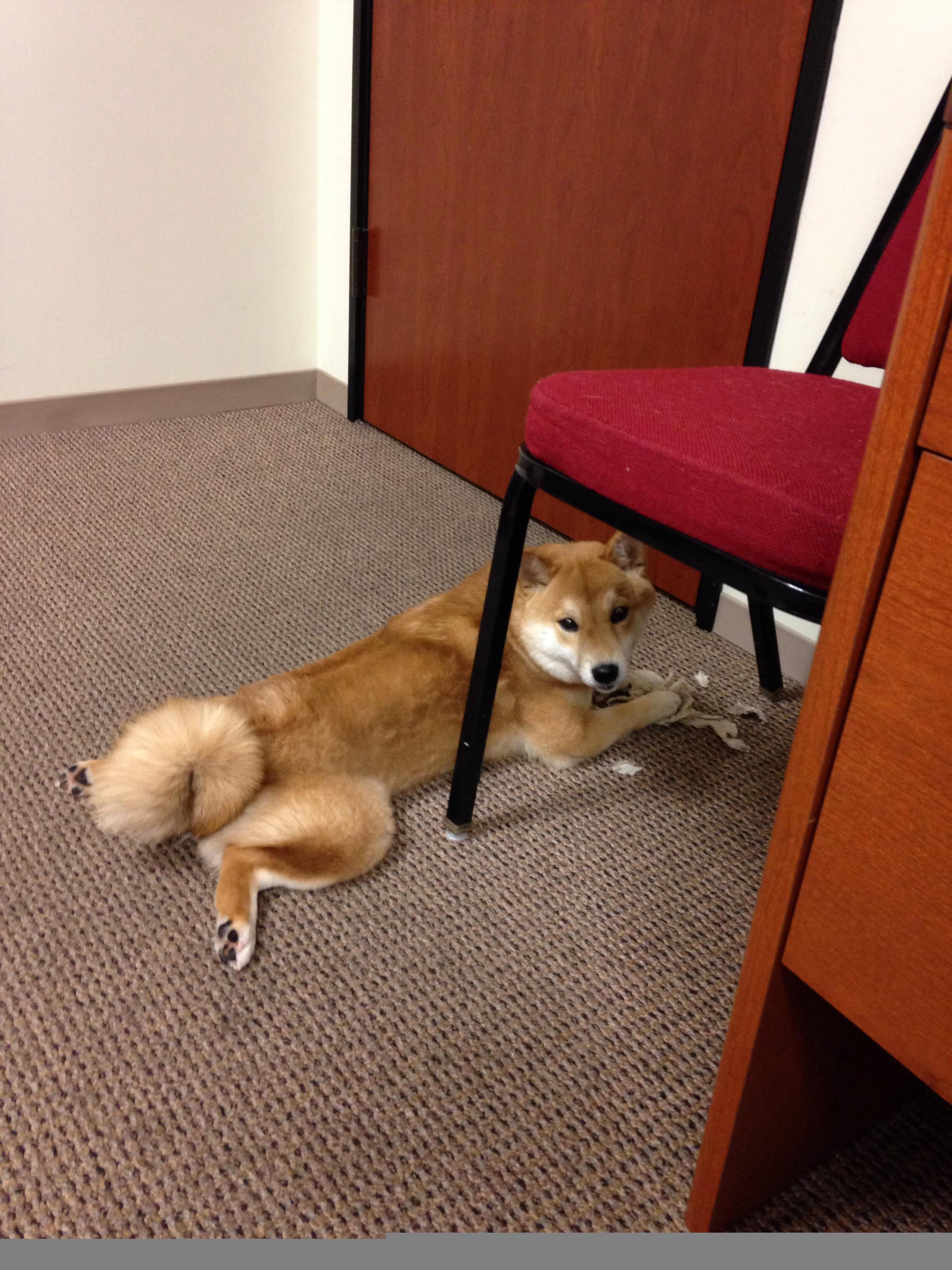 体育与政治的交汇，萨拉赫带队取胜与美国终结委内瑞拉的反思