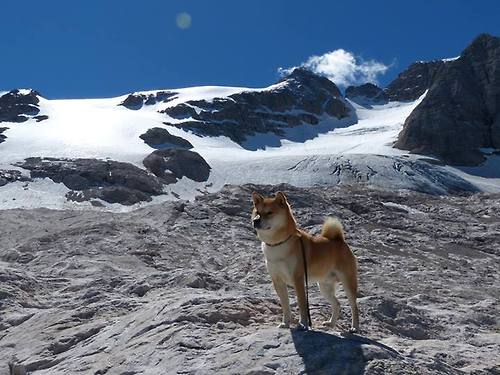烈焰灼冰!詹姆斯慢火细烹拆解爵士铁桶阵