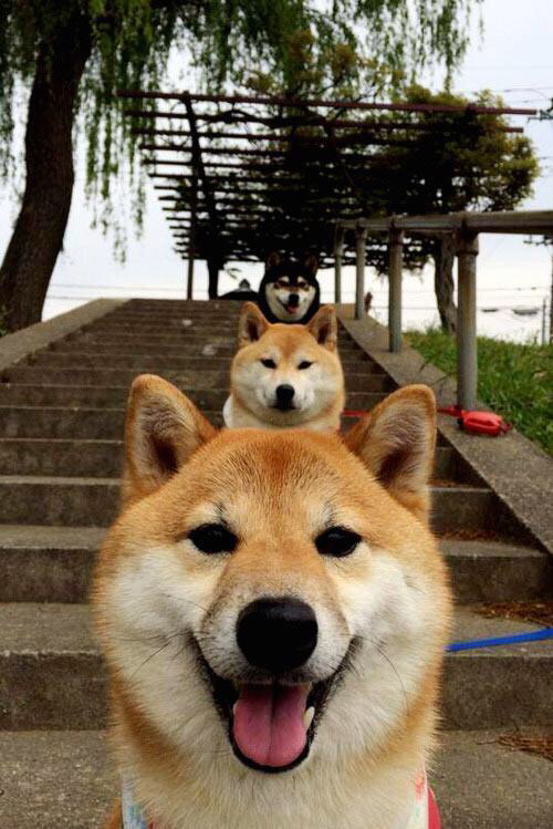 美加墨世界杯之夜，塔图姆成为全场焦点