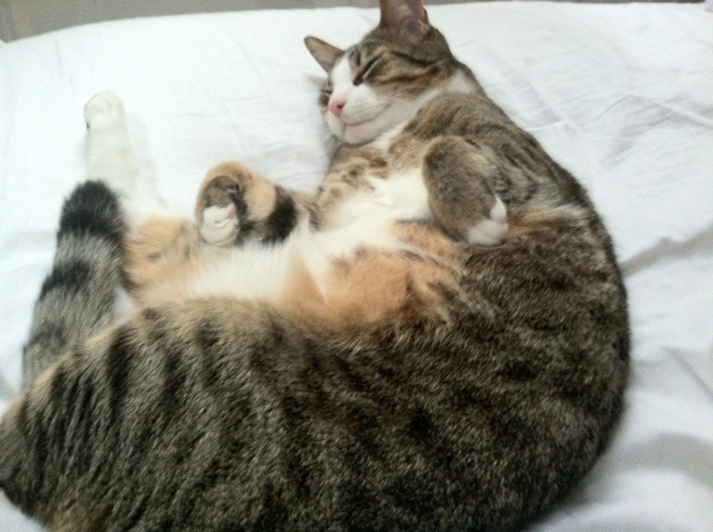 上海滩绝杀夜，从替补到英雄，保罗的五载淬火与一秒封神